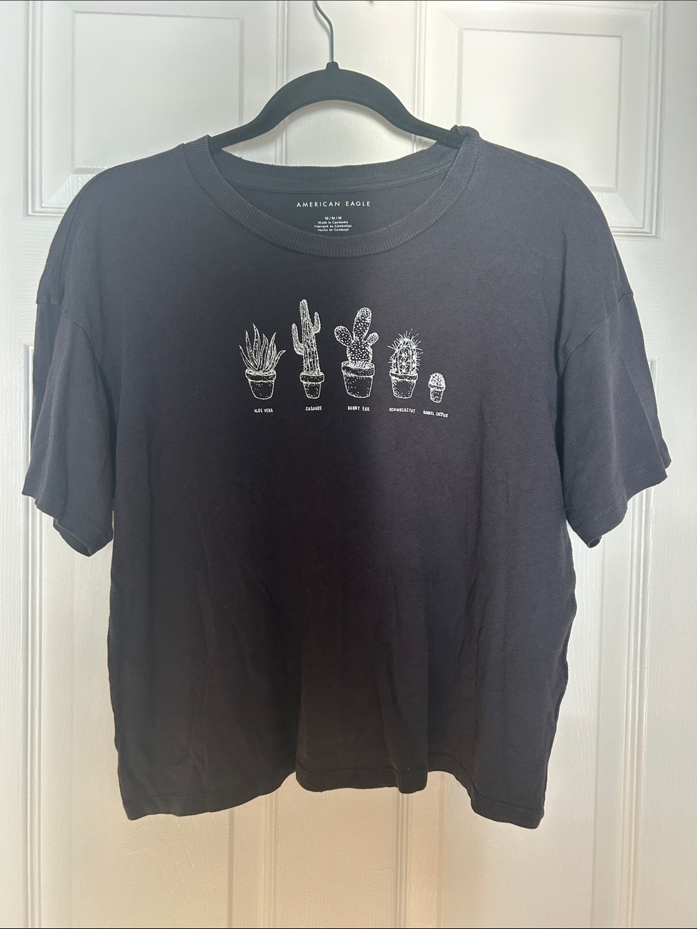 American Eagle Outfitters Dark Gray Tee with White Cactus Graphic Row